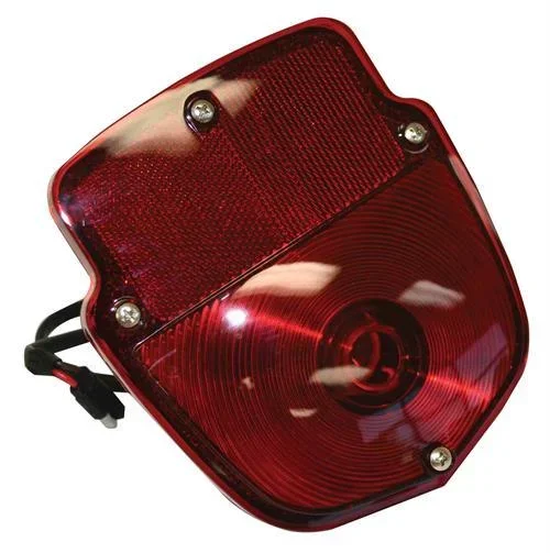 Dynacorn 1953-56 Ford Truck Tail Light Assembly LH