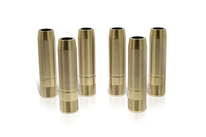 Ferrea Big & Small Block 5/16 .502 OD 2.600 Length .500 ID Int Valve Guide – Set of 8 (Use w/VS1021)