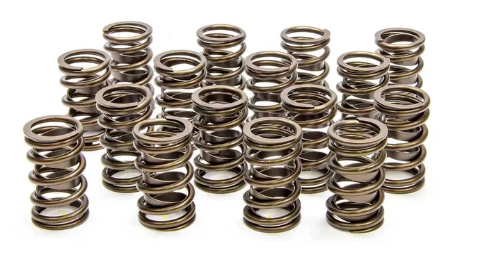 Lunati 1.450in Valve Springs