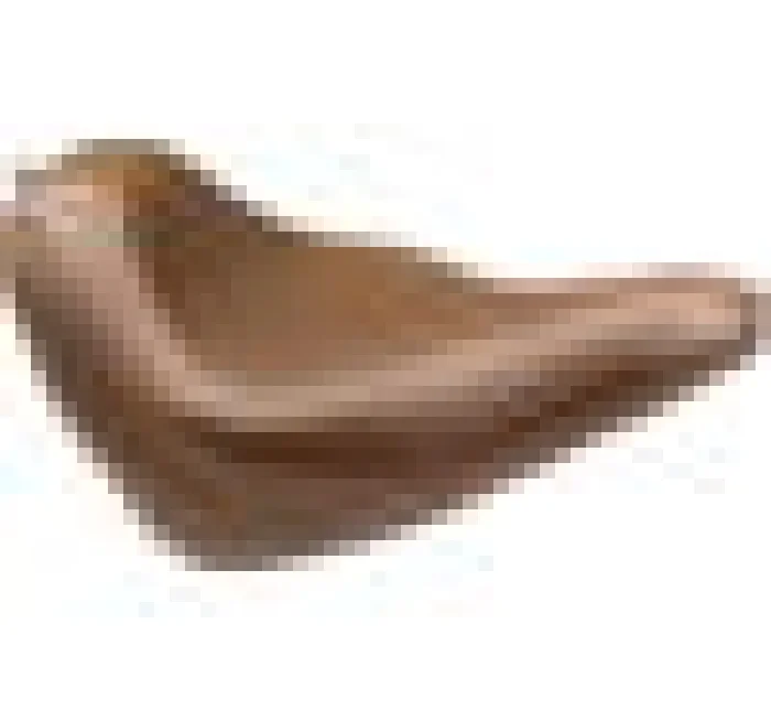 Mustang 18-21 Harley Softail Slim Wide Tripper Solo Seat – Brown
