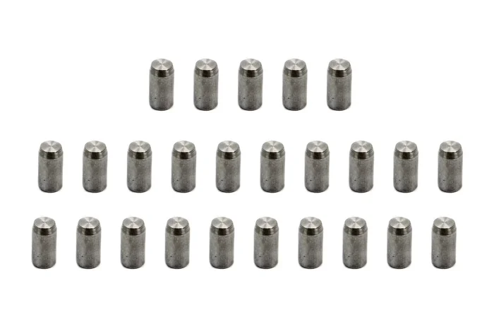 Pioneer Dowel Pins (25)