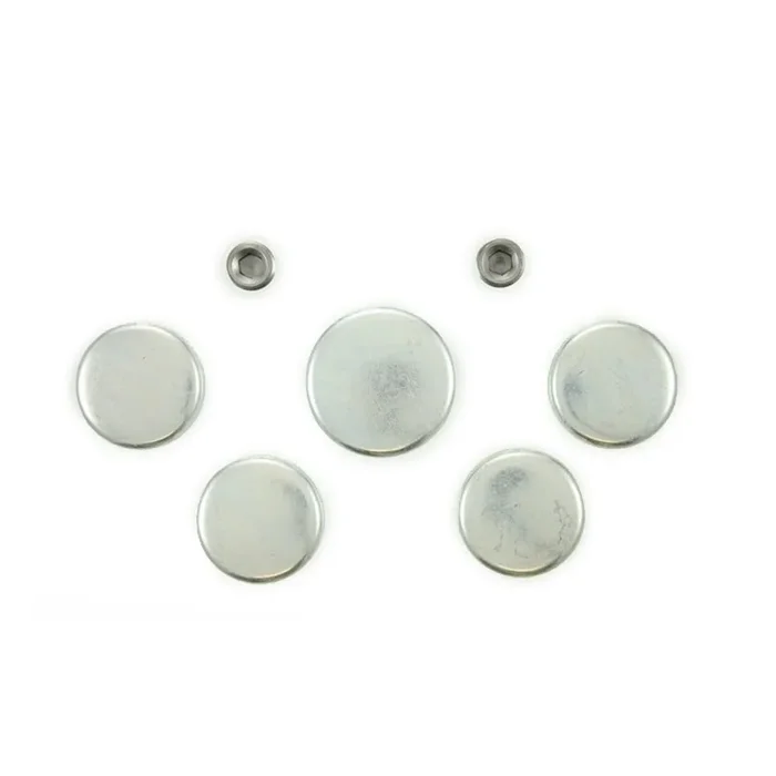 Pioneer Expansion Plug Kit Ford 272 V8 55-58