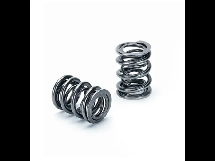 Supertech Honda K20/K24/F20C1/F22C1 Dual Valve Spring – Set of 16