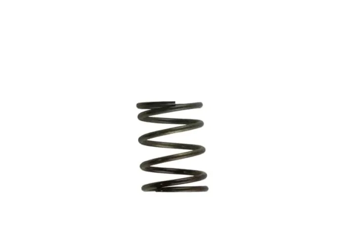 Turbosmart WG40 5PSI Inner Spring Brown/Grey0.07 lb
